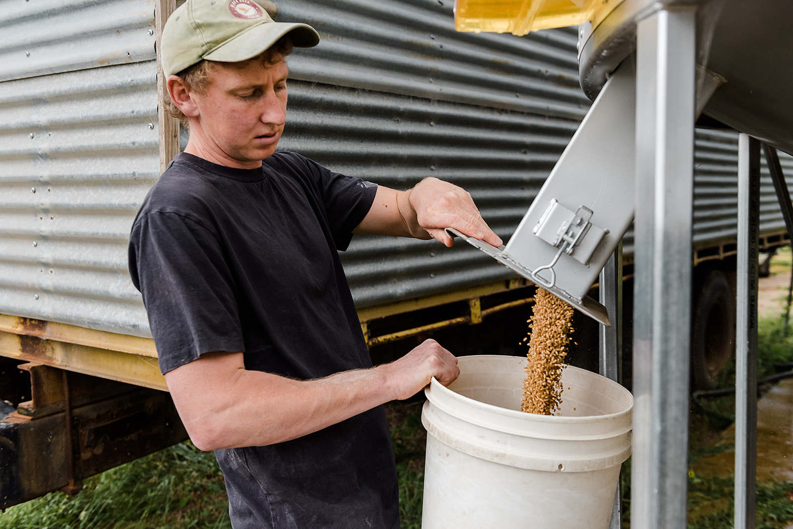 Woodstock Flour Mill Ian filling bucket with wheat
